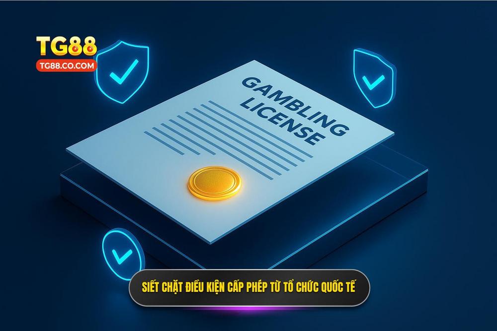 2.Điều Kiện Cấp Giấy Phép Hoạt động Khắt Khe Từ Các Tổ Chức Quốc Tế